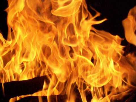 Sano Business . Vivo Duro.wmv