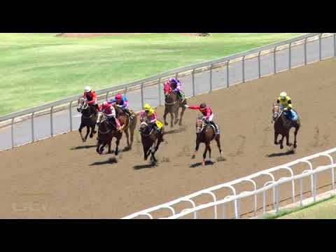 20220109 Hollywoodbets Greyville express clip Race 1 won by AMEENA