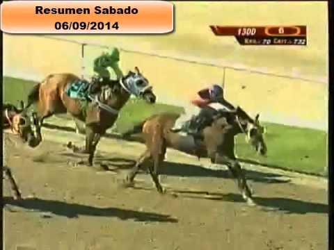 Resumen Carreras Sabado 06 Septiembre 2014 La Rinconada