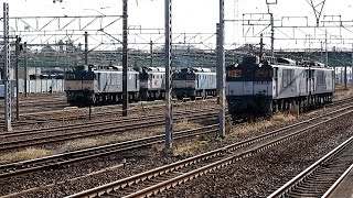 preview picture of video '2014/12/21 JR貨物 EF64-1047 & EF64-1020 稲沢駅 / JR Freight: EF64 Series at Inazawa'