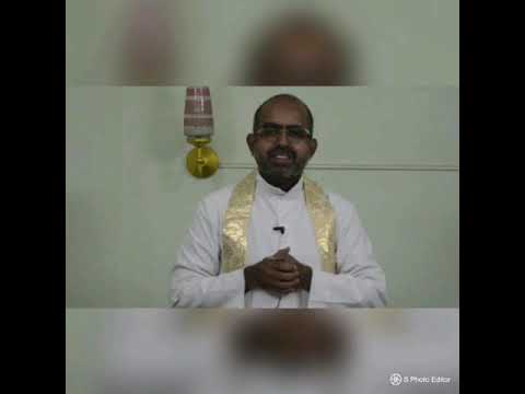 Sunday Homily 20.10.2019