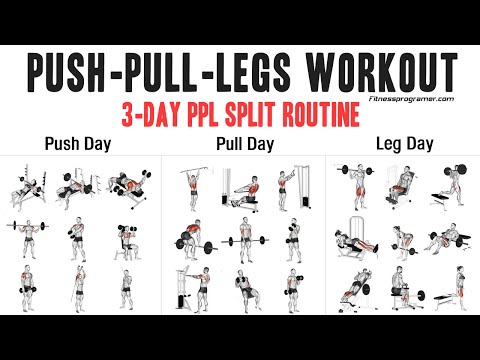3 Day Push Pull Legs (PPL) Workout Routine