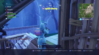初心者・初見・参加型　フォートナイトウィークリー消化