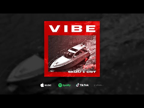 05.Skizu & DST - Vibe (Official Audio) - EP 2020