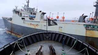 Dramatic Footage of Near Collision In High Seas Battle With Notorious Poaching Vessel