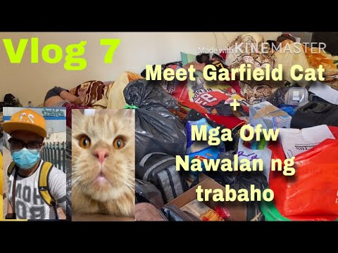 Meet garfield cat + Mga kasamahan naming nawalan ng trabaho