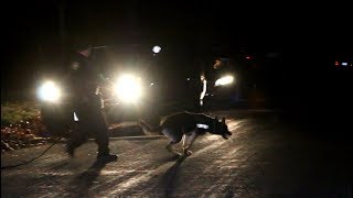 Female stabbing suspect tries to run from police