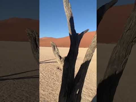 Obra-prima do deserto da Namíbia: O enigmático Deadvlei 😮