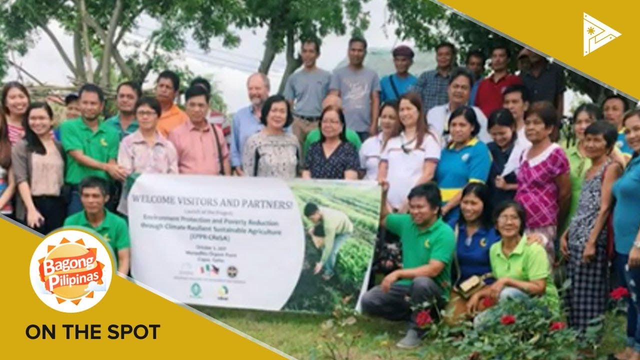 Putar video ON THE SPOT: Kahalagahan ng NGOs sa lipunan sekarang ON THE SPOT: Kahalagahan ng NGOs sa lipunan