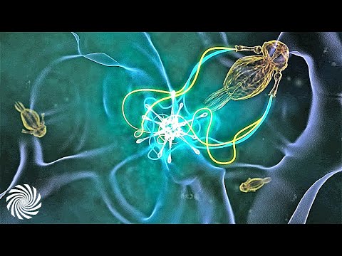 Micky Noise - In My Face