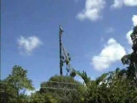 comique travail sécurité humour Chute de hauteur Outillage Chute de Hauteur Bucheron Tronçonneuse