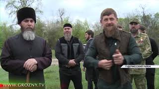 В лесах Чечни увеличилась популяция пятнистых оленей