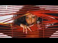 Behind The Scenes With Jasmine Tookes Harpers Bazaar