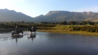 preview picture of video 'Horses Splashing, Noordhoek Cape Town'