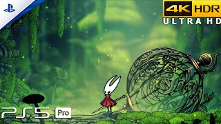 Vidéo Hollow Knight: Silksong
