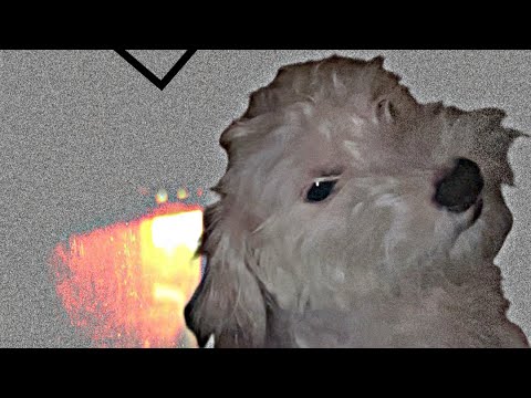 Video thumbnail FZ4OWS_Ri1k