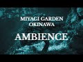 Miyagi Garden Okinawa | Ambient Meditation Soundscape
