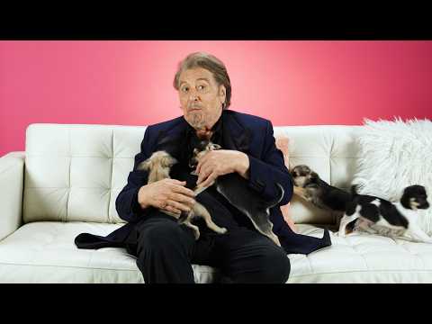 Al Pacino: The Puppy Interview