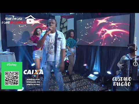 Festa junina Robson Scherttz - Live Solidaria