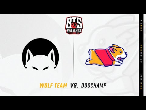 LIVE DA TORCIDA - WOLF vs DOGCHAMP - BTS PRO SERIES AMERICAS
