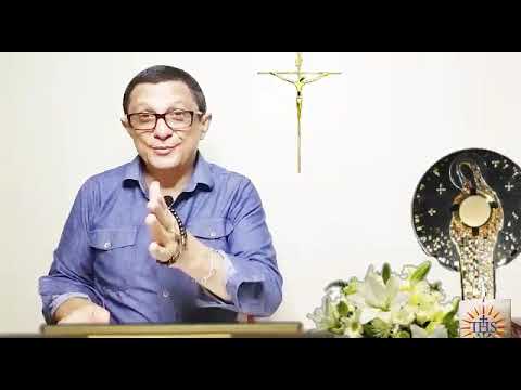 Evangelho do Dia 14/08 Liturgia da Palavra - Leitura de Hoje - Liturgia Diária - Evangelho de Hoje