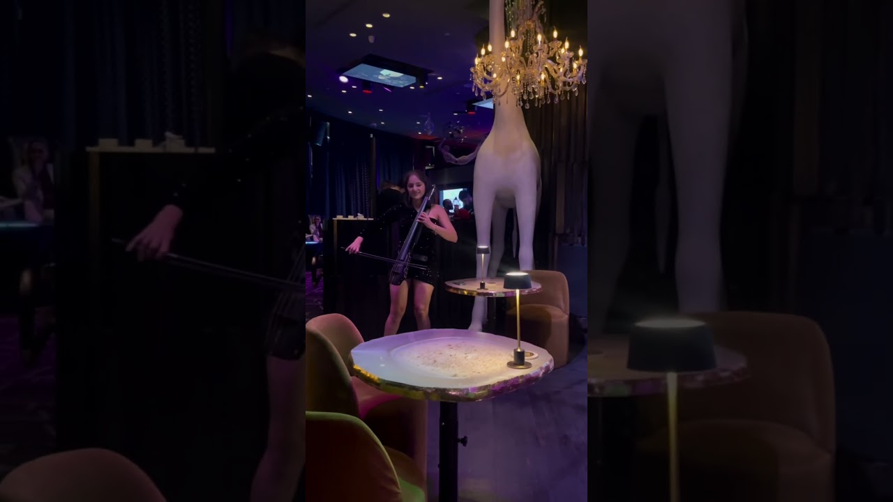 Promotional video thumbnail 4 for Lorena Cellist