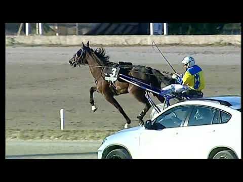 Napoli Trotto 08/07/2022 - 1ª Corsa