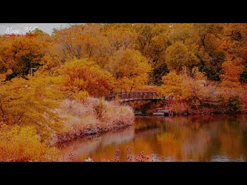 🎧 Best of Cody Francis  Fall 2024 Relaxing Calm Compilation 🌞  1. 5 Hour Golden Leaves 🍂🌟