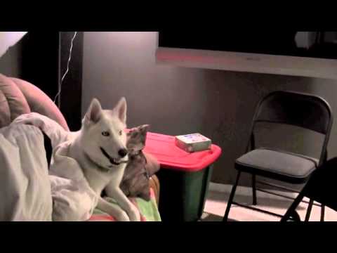 Murder Mysteries #1: Printer of Doom