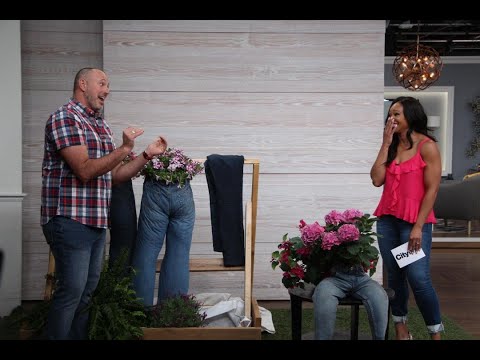 download lagu mp3 mp4 Blue Jean Plant Stand, download lagu Blue Jean Plant Stand gratis, unduh video klip Blue Jean Plant Stand