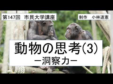 地域科学課程 動物の思考（３）ー 洞察力