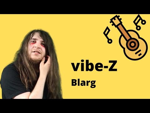 I play vibe-Z by Blarg on acoustic guitar