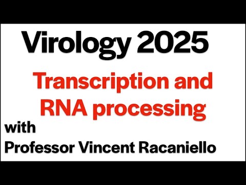 Virology Lectures 2025: Transcription and RNA processing