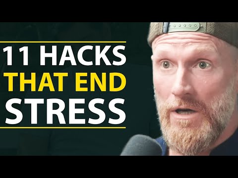 RUN THESE 11 HABITS Every Day To Reduce Stress & LIVE LONGER! | Tony Riddle