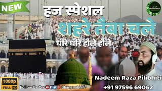 Shan E Nabi