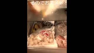 夏季の冷蔵庫収納　暑い時期はあまり買い物したくないので大量まとめ買い