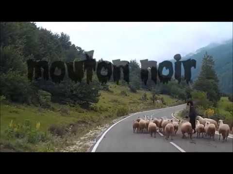 SEBLECHIEN-Teaser Mouton Noir