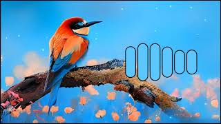 Download lagu Bird new ringtone 2023 // cute birds music // bird ringtone. mp3