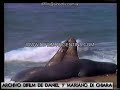 Orca Killer Whale In Chubut Argentina 1987