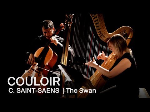 Camille Saint-Saëns: The Swan | Couloir