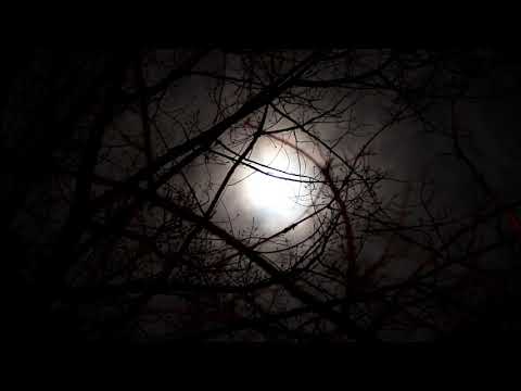 Full Moon Melody- Native american flute