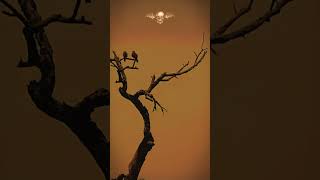 Download lagu Warmness on the soul #avengedsevenfold #warmnessonthesoul #sadstatus mp3 Download lagu Warmness on the soul #avengedsevenfold #warmnessonthesoul #sadstatus mp3