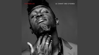 Le chant des cygnes Music Video