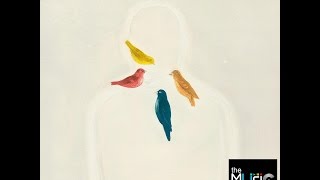 TIMOTHY B.  SCHMIT 🎧  The Island