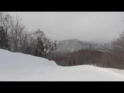 Video: 2021/1/30 白馬岩岳スノーフィールド 中級向けIwatake Back Bowl ViewDを滑ってみました。Iwatake Back Bowlのエリア中では圧雪の滑りやすいコース。