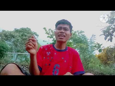 Lagu Tetangga Kos terbaru 2026🌴🍂(Pi Lende Remikser Remix)⚡🔥