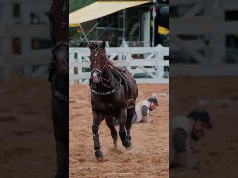 Nas horas mais difíceis Ele sempre está lá.