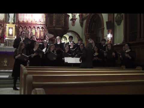 Northeast Catholic College's Polyphony Tour 2017 - O Come O Come Emmanuel