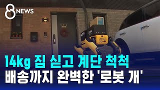 택배 왔어요 문 열자 사람 아닌 로봇…혼자서 '척척' / SBS 8뉴스