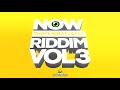 SUBTRONICS NOW THAT S WHAT I CALL RIDDIM VOL 3